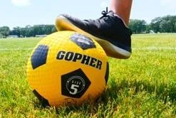 Rainbow UltraPlay RecessReady Sport Balls -OMNIKIN Shop 955737517 6eadaf2d4e9868ea37bf4a7528bf8229d212b4de4401fdeea1d4ebedba4cf947 d 295x166