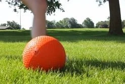 Rainbow Utility Balls -OMNIKIN Shop 955739586 b5e28fe48feb5b4bc44b9752821fce5627b827d1972271238b8f28f9071efce1 d 295x166