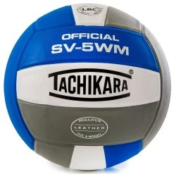Tachikara SV-5WM Leather Volleyballs