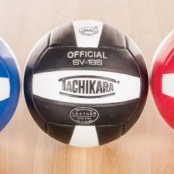 Tachikara SV18S Composite Volleyballs -OMNIKIN Shop G60541 TachSV18S Inset 2 1