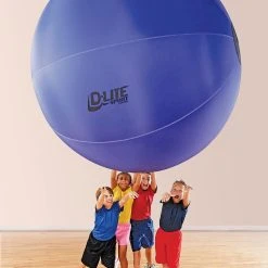 Gopher D-Lite Balls -OMNIKIN Shop GS71774 DLite72Ball Models38 1 1