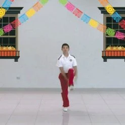 HOPSports Brain Breaks Physical Activity Solutions -OMNIKIN Shop G 21780 mex sports 1