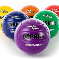 Gopher Intro-Sport Synthetic Volleyballs