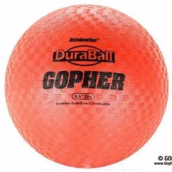 Rainbow DuraBall Playground Balls -OMNIKIN Shop G 71325 RnbwDuraballPlayground ROTO