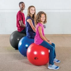 BALLance PRO Stability Ball Chairs -OMNIKIN Shop g 13395 BALLancePro 469 1