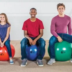 BALLance PRO Stability Ball Chair Sets -OMNIKIN Shop g 13395 ballancepro 455