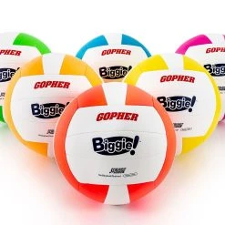 Screamin' Rainbow Biggie Volleyballs