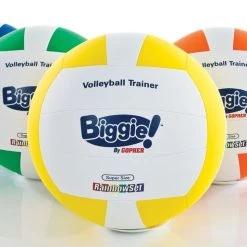 Gopher Rainbow Biggie! Training Volleyballs -OMNIKIN Shop gs61265 biggie4 1 1